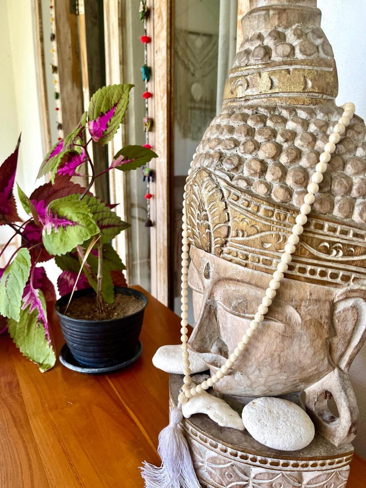 Pura Vida Ferienhaus