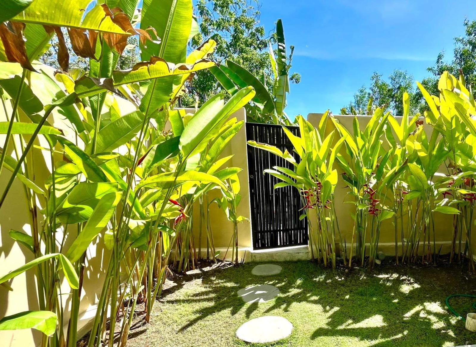 Pura Vida Ferienhaus *